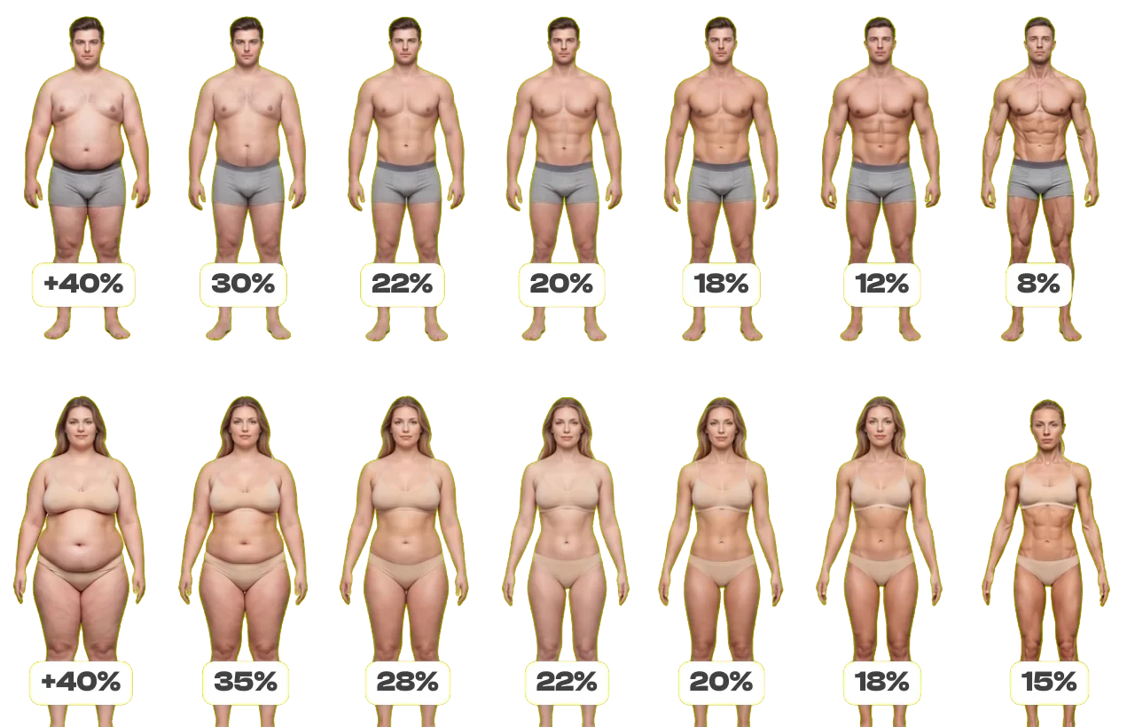Body fat reference: men from over 40% down to 8%, women from over 40% down to 15%